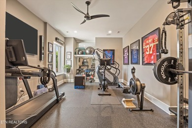 Welcome to 317 Admiral Court in Lenoir City, where modern - photo 35