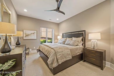 Welcome to 317 Admiral Court in Lenoir City, where modern - photo 37