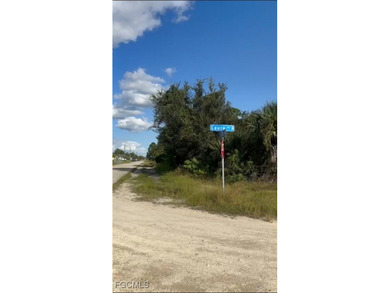 Lehigh Acres Area Lot For Sale in Lehigh Acres Florida
