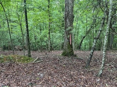 Coosawattee River - Gilmer County Lot For Sale in Ellijay Georgia