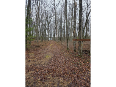 Lake Acreage For Sale in White Cloud, Michigan