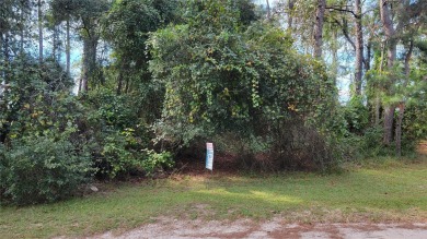Hall Lake Lot For Sale in Keystone Heights Florida