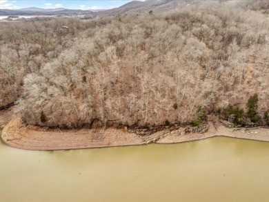 Cherokee Lake Main Channel Lot - photo 18