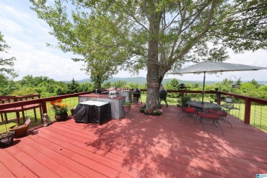 Luxury Mountain Retreat with Panoramic Views  5BR/3BA on 2 Acres