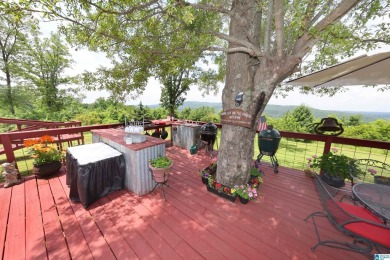 Luxury Mountain Retreat with Panoramic Views  5BR/3BA on 2 Acres