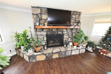 Luxury Mountain Retreat with Panoramic Views  5BR/3BA on 2 Acres