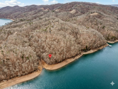 Cherokee Lake Lot For Sale in Mooresburg Tennessee