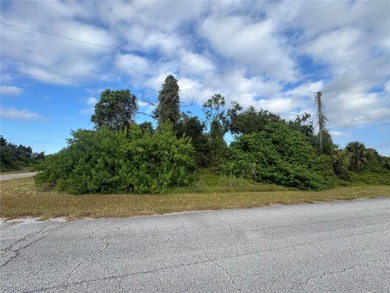 Northport Waterway Lakes and Canals Lot For Sale in North Port Florida