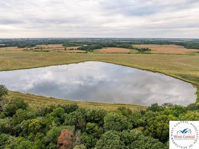 Welcome to your dream property! We are proud to offer multiple - photo 21