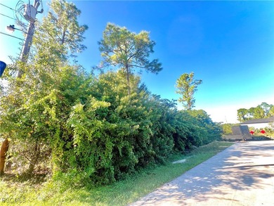 Lehigh Acres Area Lot For Sale in Lehigh Acres Florida