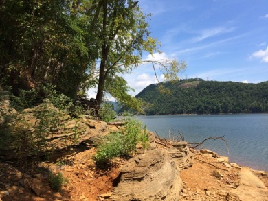 Cherokee Lake Main Channel Lot - photo 2