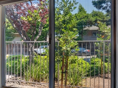 Beautifully refreshed sunny ground-floor end unit condominium in - photo 38