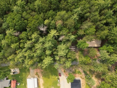 Lake Lot Sale Pending in Blairsville, Georgia
