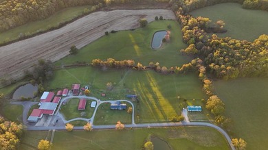 15 acres in Rienzi with room to build and enjoy the outdoors! - photo 12