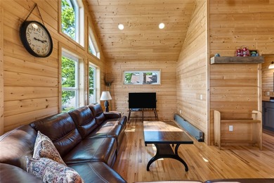 Island Paradise on Long Lake! Experience the best of Northwoods - photo 14