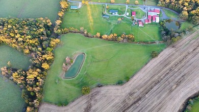 15 acres in Rienzi with room to build and enjoy the outdoors! - photo 16