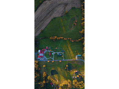 15 acres in Rienzi with room to build and enjoy the outdoors! - photo 20