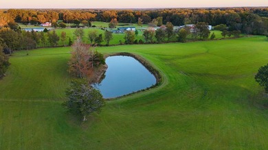 15 acres in Rienzi with room to build and enjoy the outdoors! - photo 21