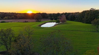 15 acres in Rienzi with room to build and enjoy the outdoors! - photo 22