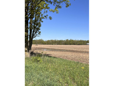 Spring Haven Lake Acreage For Sale in Fremont Indiana