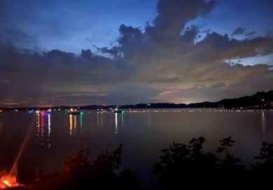 I love this lot and you will too!! What Awesome lake front for - photo 14