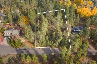 Build your dream home on this perfectly located 1 Acre secondary - photo 10