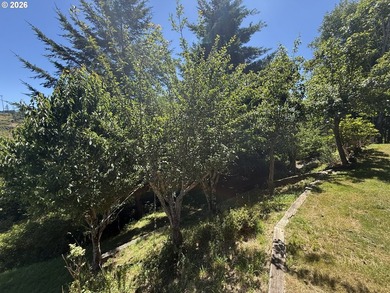 Mountain Views, Privacy & Room for Everything! Nestled on 0.9 - photo 36