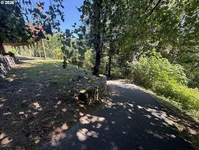 Mountain Views, Privacy & Room for Everything! Nestled on 0.9 - photo 42