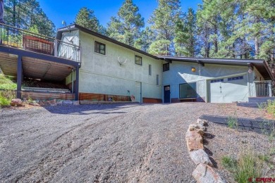 Lake Home For Sale in Pagosa Springs, Colorado