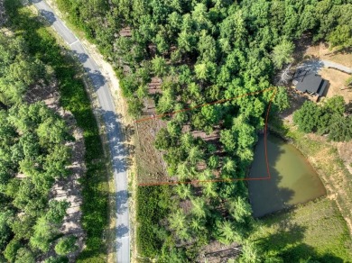 Lake Lot For Sale in Morganton, Georgia