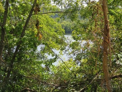 Lake Acreage For Sale in Manchester, Ohio