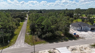 Lehigh Acres Area Lot Sale Pending in Lehigh Acres Florida