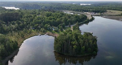 (private lake, pond, creek) Home For Sale in Lake Emma Twp Minnesota