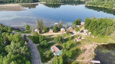 Lake Ida! Your Minnesota Lakefront Retreat Nestled on the - photo 6