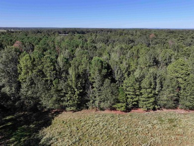 (private lake, pond, creek) Acreage For Sale in Horatio Arkansas