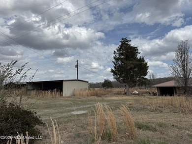 Family farm including 2.2 acres +/- with 3 bedroom 2 1/2 bath - photo 11