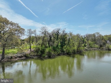 An exceptional opportunity to build your dream luxury waterfront - photo 11