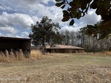 Family farm including 2.2 acres +/- with 3 bedroom 2 1/2 bath - photo 13
