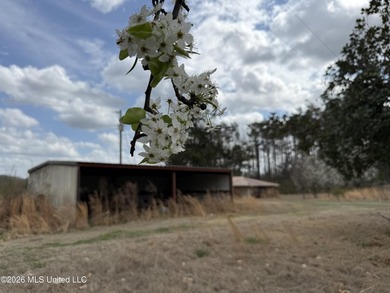 Family farm including 2.2 acres +/- with 3 bedroom 2 1/2 bath - photo 22