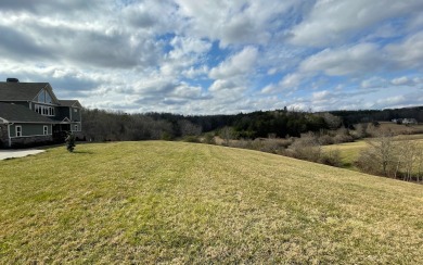 Located in an upscale subdivision in the North Georgia mountains - Lake Lot For Sale in Blairsville, Georgia