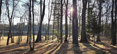 Discover the perfect Northwoods escape on beautiful Bayer Lake - photo 2