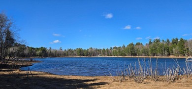 Discover the perfect Northwoods escape on beautiful Bayer Lake - photo 4