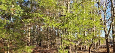 Discover the perfect Northwoods escape on beautiful Bayer Lake - photo 9
