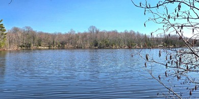 Oxbow Lake Lot Active Under Contract in Presque Isle Wisconsin