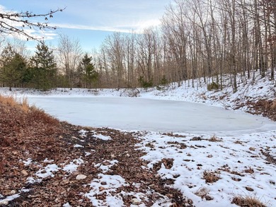 Major Price Reduction! Double Draw Farm spans 40.8+/- acres and - photo 11