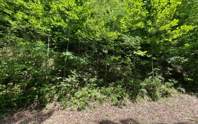2+ BEAUTIFULLY WOODED ACRES IN THE MOUNTAINS OF NORTH GEORGIA!! - Lake Lot For Sale in Hiawassee, Georgia