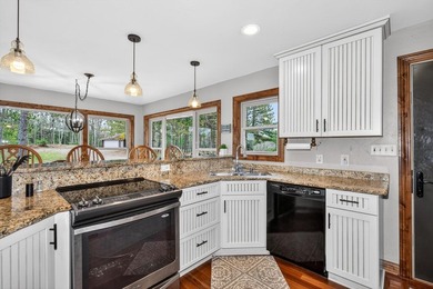 Stunning Northwoods retreat on Lake of the Falls! Enjoy 200 feet - photo 6