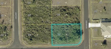 Lehigh Acres Area Lot For Sale in Lehigh Acres Florida