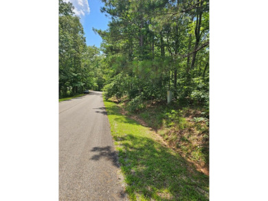 Lake Lot For Sale in Ellijay, Georgia