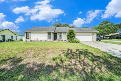 Lake Home For Sale in Land O Lakes, Florida